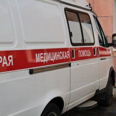 Девочка выпрыгнула из окна жилого дома, спасаясь от бойцовских собак - mur.tv - Москва