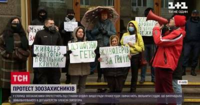 Высший совет правосудия пикетировали зоозащитники с требованием уволить судью, которая оправдала живодера - mur.tv - Киев