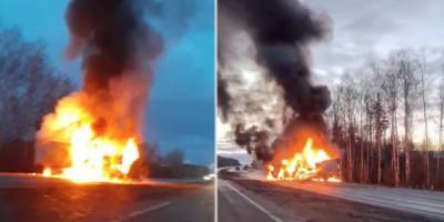 Лобовое столкновение на трассе М1: грузовик и микроавтобус сгорели, водители погибли - porosenka.net