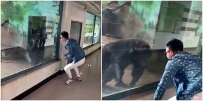 Посетитель зоопарка нашёл общий язык с шимпанзе - mur.tv - Китай