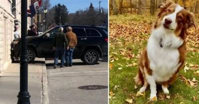 Собака угнала внедорожник и врезалась в музей - mur.tv - Сша - штат Висконсин