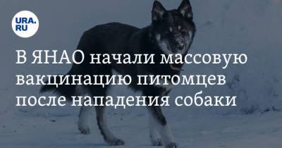 В ЯНАО начали массовую вакцинацию питомцев после нападения собаки - mur.tv - Москва - округ Янао