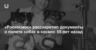 Роскосмос рассекретил документы о полете собак в космос 55 лет назад - mur.tv