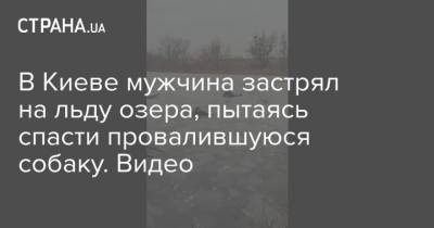 В Киеве мужчина застрял на льду озера, пытаясь спасти провалившуюся собаку. Видео - mur.tv - Киев - Запорожье