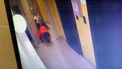 Видео из Сети. Вцепилась зубами и рвала: собака напала на 9-летнего мальчика - mur.tv - Новосибирск