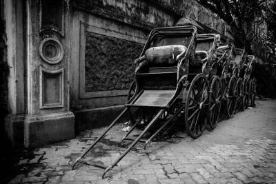 Вы когда-нибудь ездили на настоящем рикше? - shkolazhizni.ru - Индия