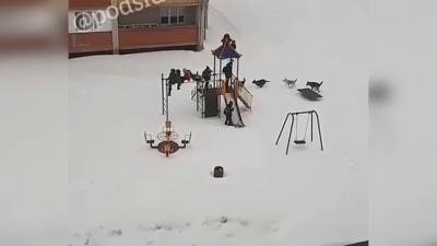 “Помогите!”: Собаки в Чувашии загнали детей на горку. Видео - mur.tv - республика Чувашия