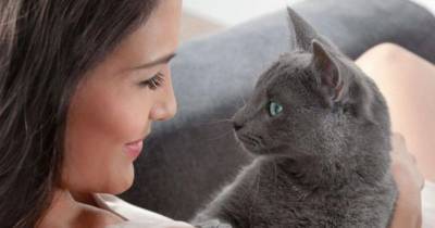 Ученые рассказали о секретном способе наладить контакт с кошкой - mur.tv