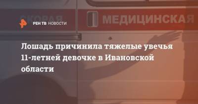 Лошадь причинила тяжелые увечья 11-летней девочке в Ивановской области - mur.tv - Ивановская обл.