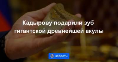 Кадырову подарили зуб гигантской древнейшей акулы - mur.tv - район Шатойский