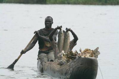 Природа Африки: чем уникально болото Судд? - lifehelper.one - Судан