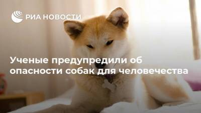 Грегори Окин - Ученые предупредили об опасности собак для человечества - mur.tv - Сша - Москва - Лос-Анджелес