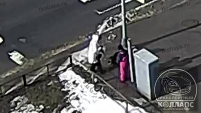 Появилось видео того, как светофор в Петербурге убил собаку током - mur.tv - Санкт-Петербург