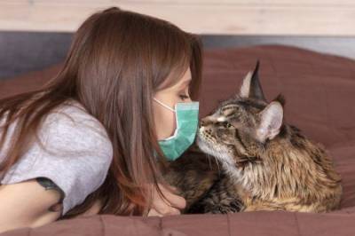 У кошек и собак обнаружен опаснейший штамм коронавируса - mur.tv - Англия