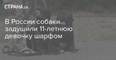 В России собаки задушили 11-летнюю девочку шарфом - mur.tv - Россия - Житомирская обл.