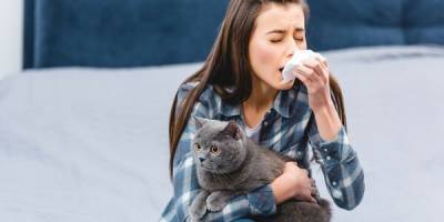 Можно ли как-то предвидеть аллергию на кошек? - mur.tv