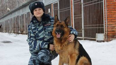 В Томске собака помогла следователям раскрыть убийство - mur.tv - Россия - Томск