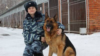 Полицейская собака по кличке Енсон помогла раскрыть убийство в Томске - mur.tv - Томск
