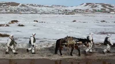 Военные перебросили на лошадях две тонны оружия. Видео - mur.tv - Россия