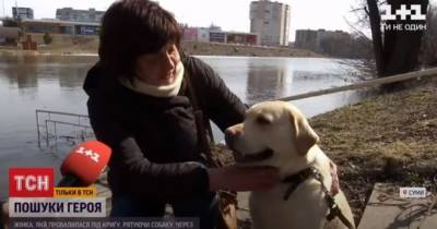 В Сумах прохожий спас женщину и собаку, провалившихся под лед - mur.tv