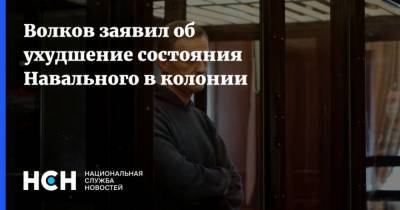 Алексей Навальный - Леонид Волков - Волков заявил об ухудшение состояния Навального в колонии - mur.tv
