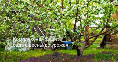 Комплексная защита сада с весны до урожая - sadogorod.club