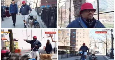 Сколько можно заработать на выгуле собак в Нью-Йорке: личная история экс-дальнобойщика - segodnya.ua - Нью-Йорк - Нью-Йорк