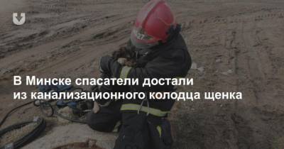 В Минске спасатели достали из канализационного колодца щенка - mur.tv - Минск