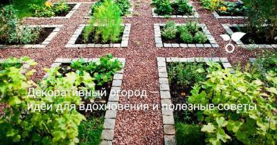 Декоративный огород — идеи для вдохновения и полезные советы - sadogorod.club