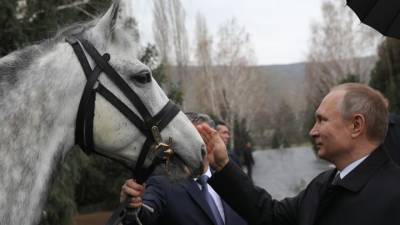 Владимир Путин - “Реальный кульбит”: как президент упал с лошади - mur.tv - Россия