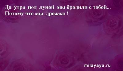 Картинки со статусами. Подборка №milayaya-status-39490504012021 - milayaya.ru