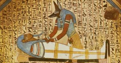 Куда исчезли животные из Египта, если они изображены на древних рисунках - novate.ru - Египет - штат Миссисипи - Сент-Луис