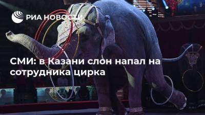 СМИ: в Казани слон напал на сотрудника цирка - mur.tv - Москва - Казань