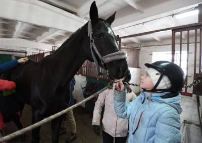 В крымском зоопарке лошадь откусила палец пятилетней девочке - mur.tv - Симферополь