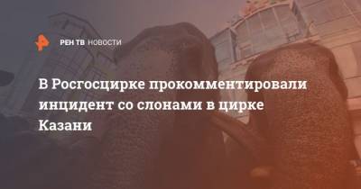 В Росгосцирке прокомментировали инцидент со слонами в цирке Казани - mur.tv - Казань