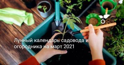 Лунный календарь садовода и огородника на март 2021 - sadogorod.club