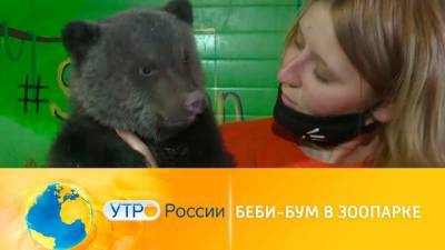 Утро России. Беби-бум в зоопарке - mur.tv - Россия - Иркутск