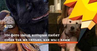 10+ фото звёзд, которые любят собак также сильно, как мысвами - mur.tv
