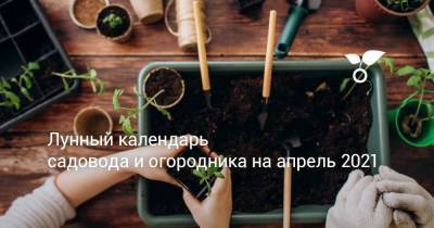 Лунный календарь садовода и огородника на апрель 2021 - sadogorod.club