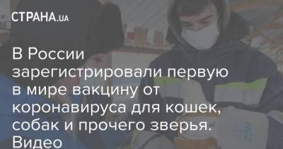 В России зарегистрировали первую в мире вакцину от коронавируса для кошек, собак и прочего зверья. Видео - mur.tv - Россия - Польша