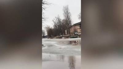 В Новой Ладоге мужчина прыгнул в ледяную воду, чтобы спасти тонущую собаку - mur.tv - Ленобласть обл.