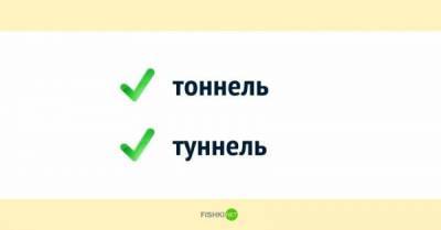 О словах в русском языке, которые пишутся по-разному, но всегда правильно - porosenka.net