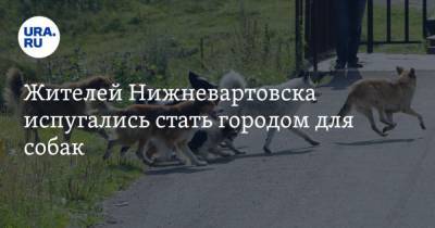 Жителей Нижневартовска испугались стать городом для собак - mur.tv - округ Югра - Нижневартовск