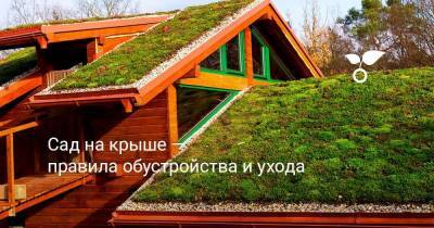 Сад на крыше — правила обустройства и ухода - sadogorod.club