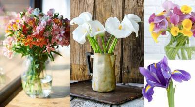 Цветы к 8 марта: ТОП 10 самых устойчивых цветов для праздничного букета - sadogorod.club