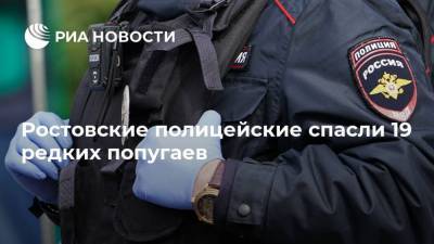 Ростовские полицейские спасли 19 редких попугаев - mur.tv - Россия - Москва - Ростовская обл.