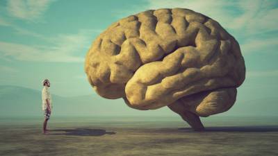5 правил остроты ума: как стать умнее и прокачать мозг - gurutest.ru