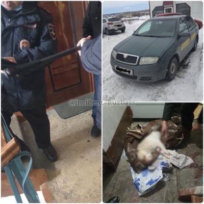 Кузбассовец во дворе многоквартирного дома выстрелил из винтовки в бездомную собаку - mur.tv