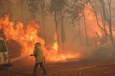 В Австралии опять лесные пожары - chert-poberi.ru - Австралия - Перт