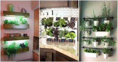 12 уютных и полезных примеров из Instagram, которые вдохновят ваш сделать мини сад на кухне - lifehelper.one